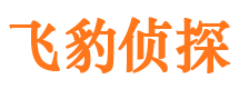 凤台侦探调查公司